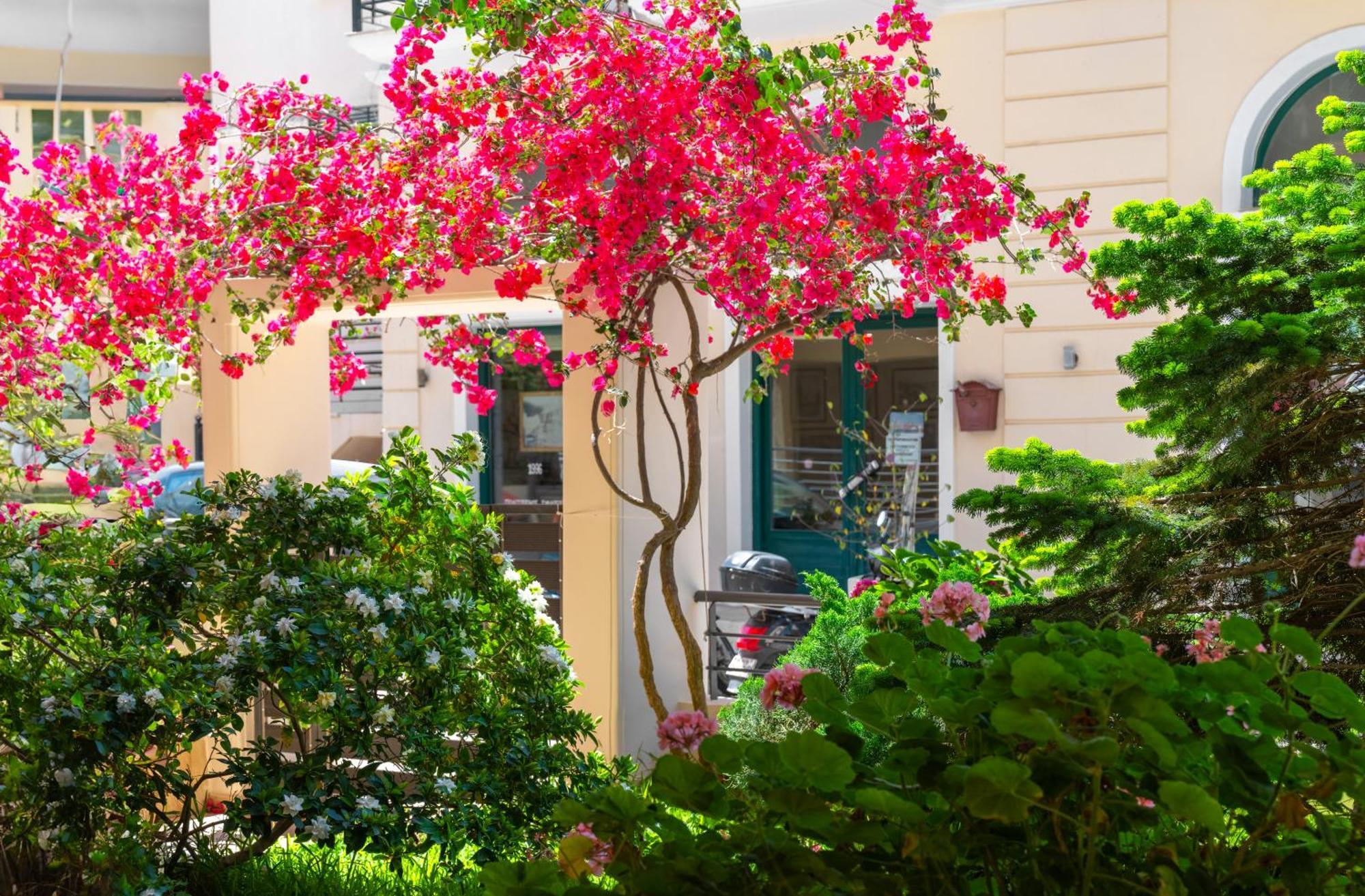 Myrto1 Apartment Preveza Buitenkant foto